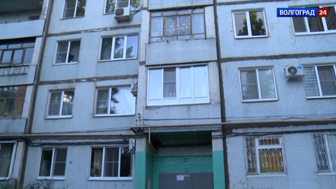 Насекомые в доме. Эфир от 06.09.2022
