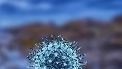 В Ярославской области COVID-19 заболел еще 241 человек