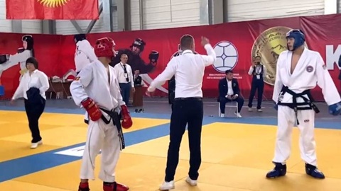 Успехи наших спортсменов по тхеквондо отметили на высоком уровне