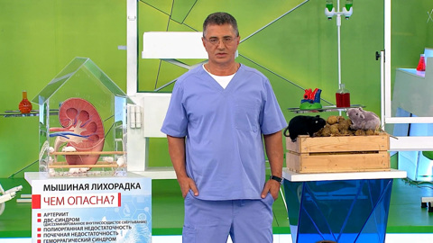 Мясников рассказал, что делать, чтобы не заразиться мышиной лихорадкой