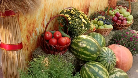 Крупнейшие предприятия представили продукцию на выставке "Кабардино-Балкария сегодня"