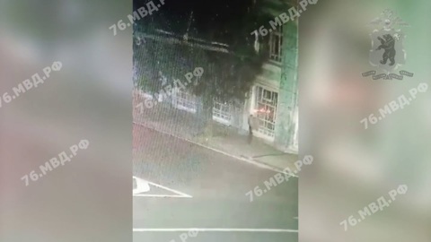 В Ярославле нашли похитителя скульптуры гаргульи с здания в центре города