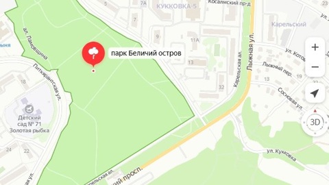 Жителей Петрозаводска приглашают на субботник