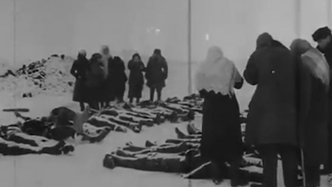 Нацизм как составляющая бандеровской идеологии
