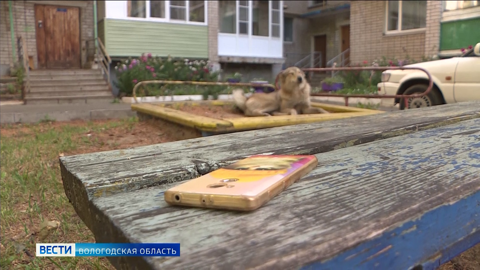 В поисках своих хозяев: как работает городское бюро находок в Вологде