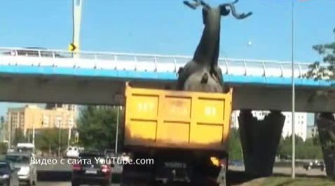 Олень в кузове и за рулем: осторожно, негабаритный груз