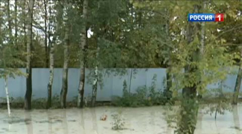 По колено в клее оказались жители деревни Крекшино