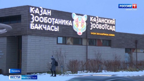 Стало известно имя детеныша антилоп из Казанского зооботсада