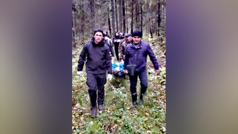 В Ярославской области полицейские вынесли из леса пропавшую женщину