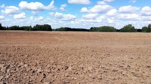Свалку куриного помета ликвидировали в Марий Эл