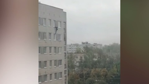 В Чувашии полицейские приехали снять с 9 этажа неадекватную девушку, а сняли "урожай" конопли 