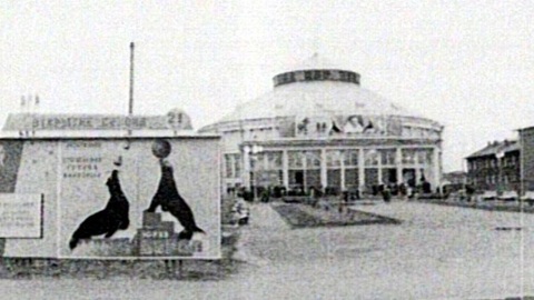 Ровно 60 лет назад в Архангельске появился цирк