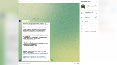 В Ярославской области создали чат-бот для обращений по ошибочной мобилизации