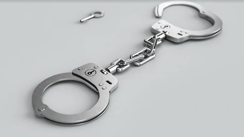 В Ярославском районе под стражу заключили подозреваемого в совершении краж в СНТ