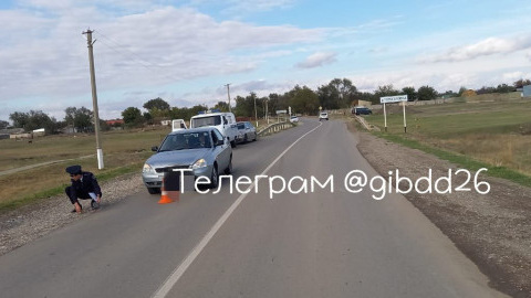На Ставрополье врачи борются за жизнь 8-летней девочки, которую сбил автомобиль