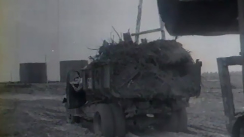 Год 1959