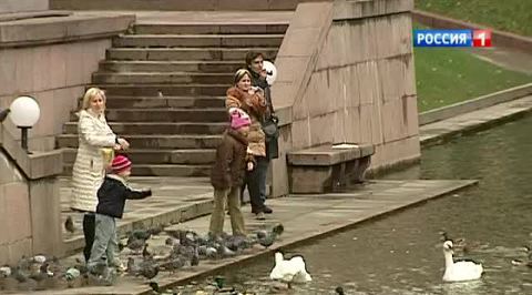 В столицу ночью придут заморозки