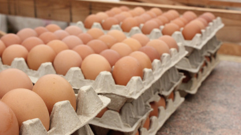 Ставрополье стало поставлять за границу на 22 процента продукции больше