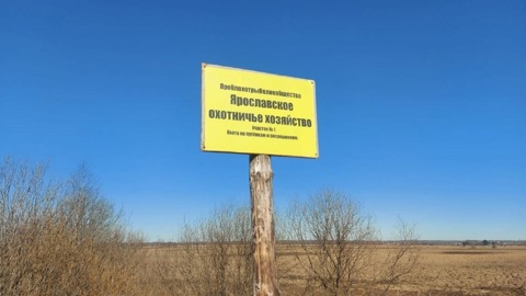 В Ярославской области открылся сезон охоты на бобра
