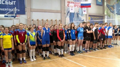 В Архангельской "Норд Арене" проходит областное первенство по волейболу