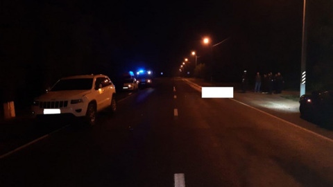 Пешеход погиб под колесами автомобиля, перебегая дорогу в неустановленном месте