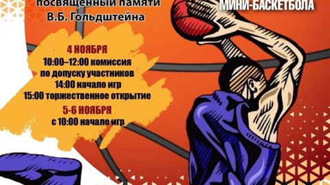 В Петрозаводске состоится Фестиваль мини-баскетбола памяти Валентина Гольдштейна