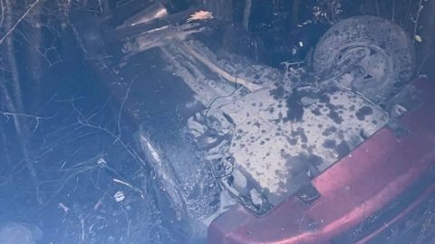 В Медвежьегорском районе подросток на машине сбил лошадь
