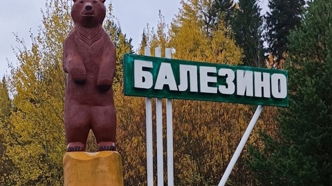Скульптуру медведя установили на въезде в поселок Балезино