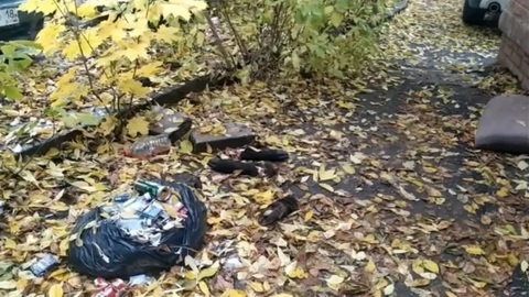 Останки тушки кабана обнаружили в Первомайском районе Ижевска