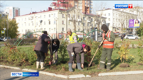 Розовый миндаль, гортензия и липы зацветут будущей весной на городских прудах Хабаровска