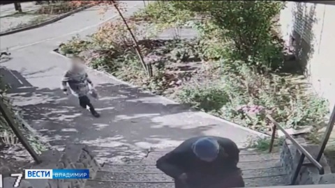 В Киржаче мошенница поменяла пенсионерке 225 тысяч рублей на билеты "Банка приколов"