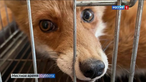 Эфир от 15.10.2022