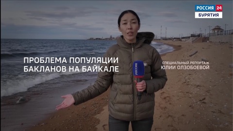 Бакланы