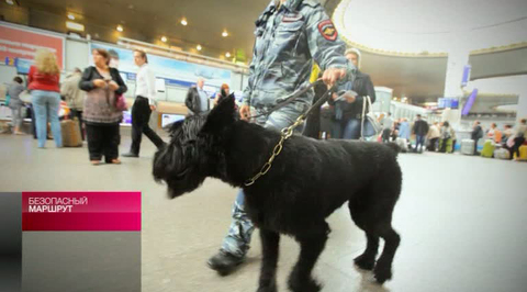 Эфир от 12.10.2013