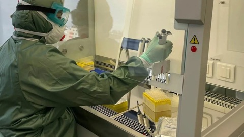 В России отменили сдачу ПЦР-теста для вернувшихся из-за рубежа