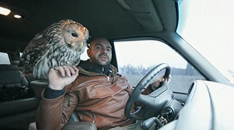 Самые опасные животные. Короткое замыкание