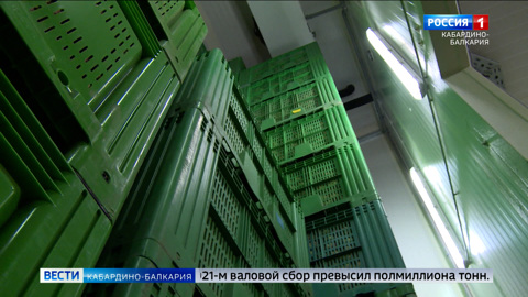 В КБР увеличился объем плодохранилищ