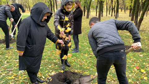 На Ставрополье появилась аллея в память о погибших участниках СВО
