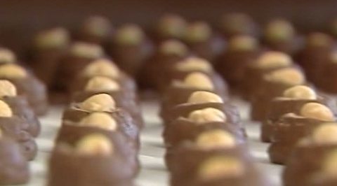 Проблемы украинской Roshen: уголовные дела и массовые увольнения
