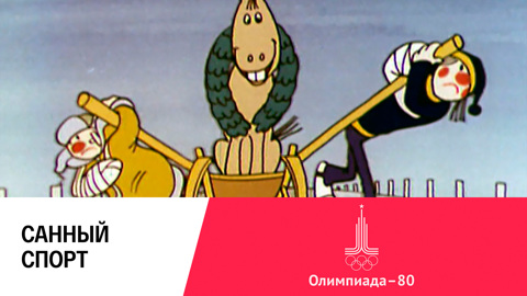 Санный спорт