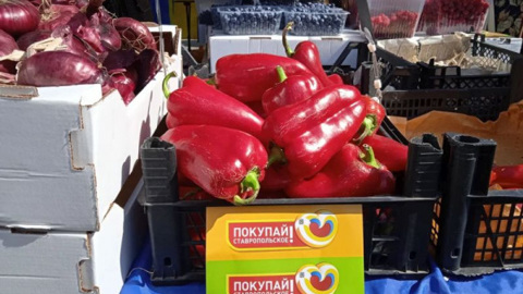 В Ставрополе открылась ярмарка выходного дня