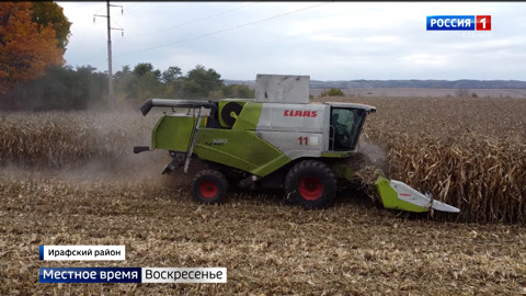 В Ирафском районе в разгаре сбор урожая кукурузы