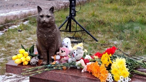 Северодвинскому коту Кузе, которого замучила пара живодеров, установили памятник