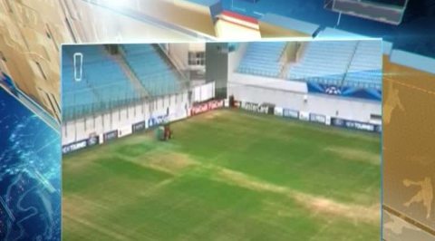 Газон на "Арене Химки" покрасили перед игрой с "Манчестер Сити"