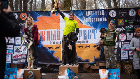 В Ставрополе прошли гонки на собачьих упряжках