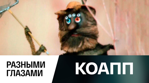 Разными глазами
