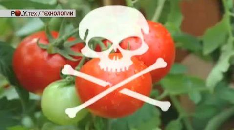 Выращенные на марсианском грунте овощи смертельно опасны