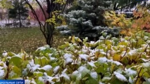 Эфир от 13.11.2022 (08:00)
