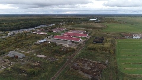 "За городом". 16.11.2022