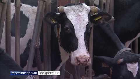 События недели: градсовет в Междуречье, льготы для участников СВО и поправки в бюджет